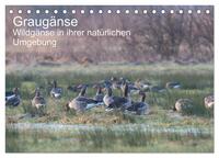 Vorderes Coverbild Graugänse (Tischkalender 2025 DIN A5 quer), CALVENDO Monatskalender