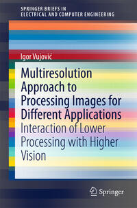 Vorderes Coverbild Multiresolution Approach to Processing Images for Different Applications