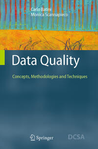 Vorderes Coverbild Data Quality