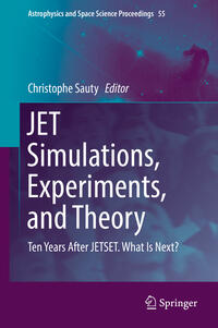 Vorderes Coverbild JET Simulations, Experiments, and Theory