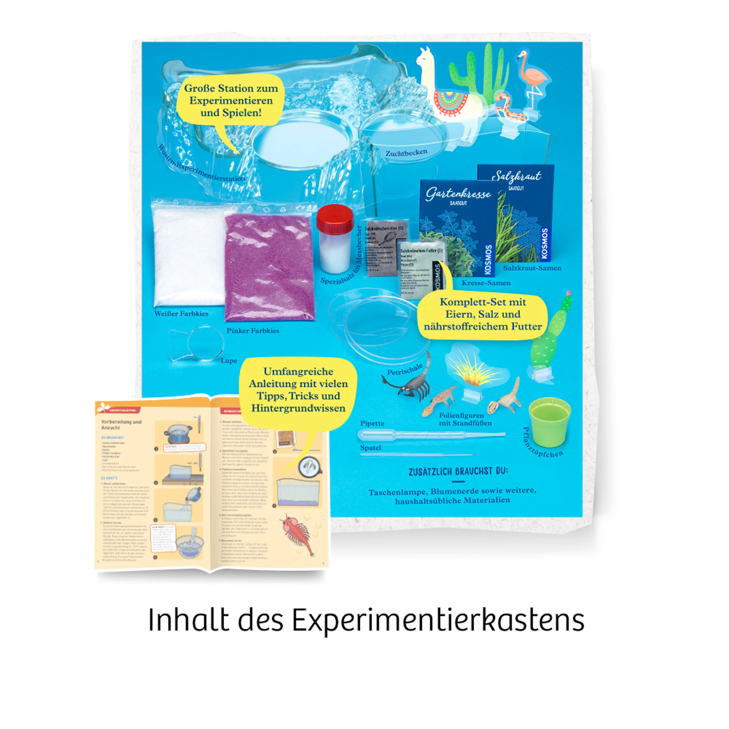 Beispielinhalt (Bild) Salzkrebse