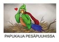 Vorderes Coverbild Papukaija pesäpuuhissa