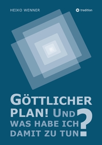 Vorderes Coverbild Göttlicher Plan! Und was habe ich damit zu tun?