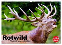 Vorderes Coverbild Rotwild. Edle Hirsche, stolze Kühe (Wandkalender 2025 DIN A2 quer), CALVENDO Monatskalender