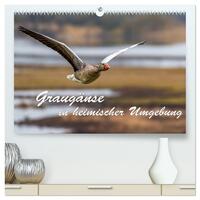Vorderes Coverbild Graugänse in heimischer Umgebung (hochwertiger Premium Wandkalender 2025 DIN A2 quer), Kunstdruck in Hochglanz