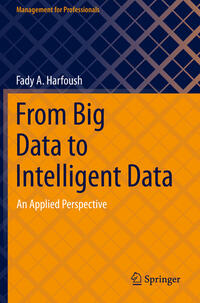 Vorderes Coverbild From Big Data to Intelligent Data