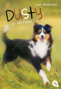 Vorderes Coverbild Dusty in Gefahr