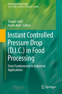 Vorderes Coverbild Instant Controlled Pressure Drop (D.I.C.) in Food Processing