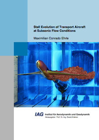 Vorderes Coverbild Stall Evolution of Transport Aircraft at Subsonic Flow Conditions