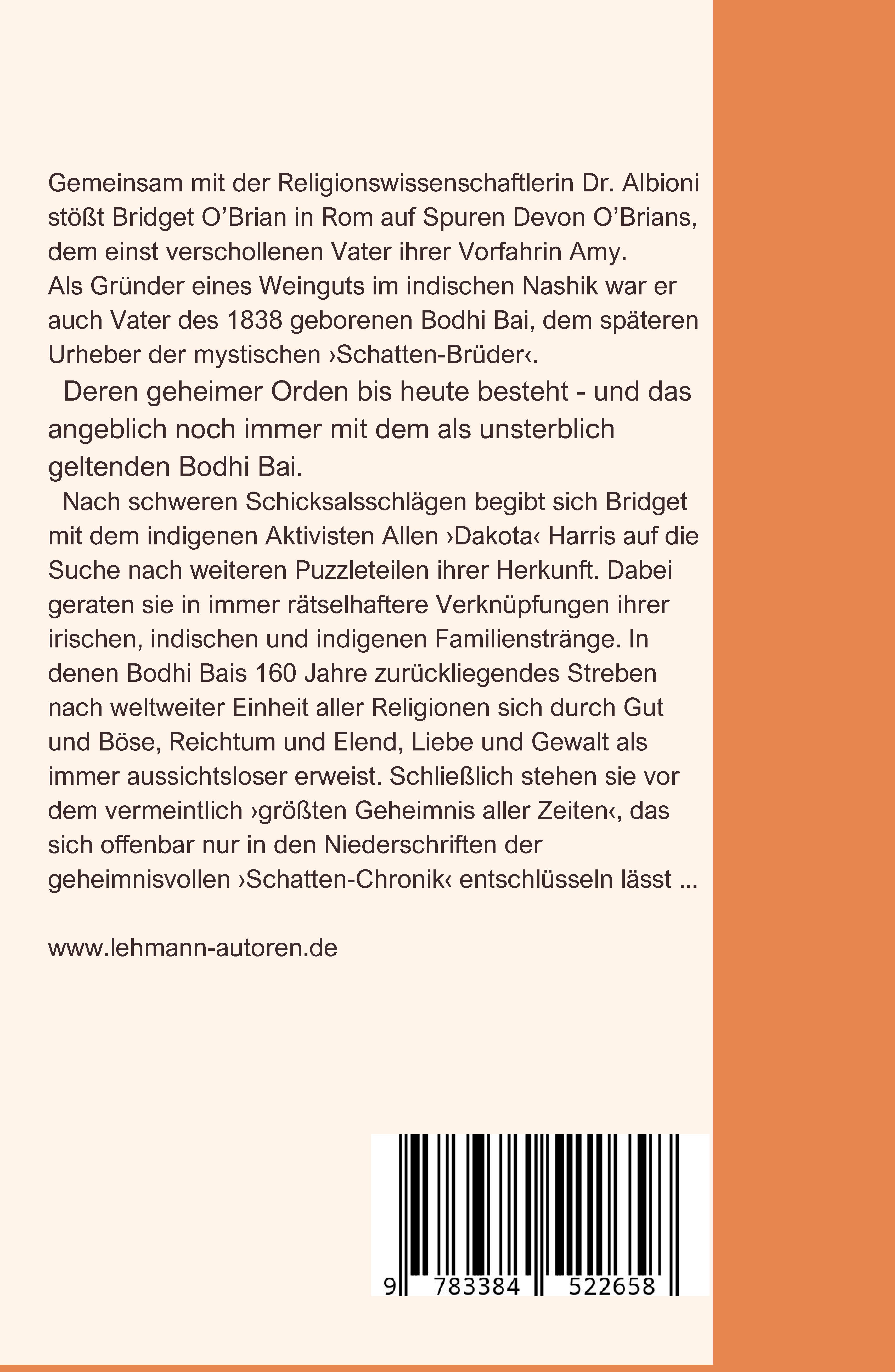 Rückseitencover Schatten Brüder