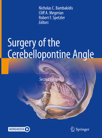 Vorderes Coverbild Surgery of the Cerebellopontine Angle