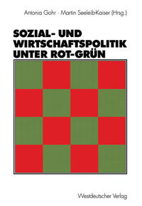 Vorderes Coverbild Sozial- und Wirtschaftspolitik unter Rot-Grün