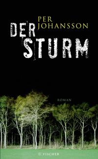 Vorderes Coverbild Der Sturm