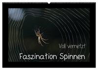 Vorderes Coverbild Voll vernetzt - Faszination Spinnen (Wandkalender 2025 DIN A2 quer), CALVENDO Monatskalender