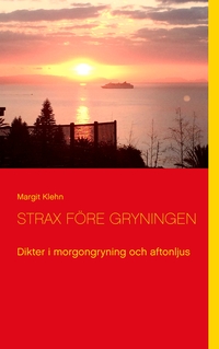 Vorderes Coverbild Strax före gryningen