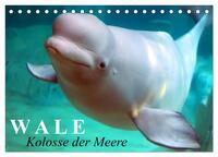 Vorderes Coverbild Wale - Kolosse der Meere (Tischkalender 2025 DIN A5 quer), CALVENDO Monatskalender