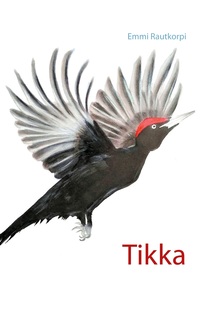 Vorderes Coverbild Tikka