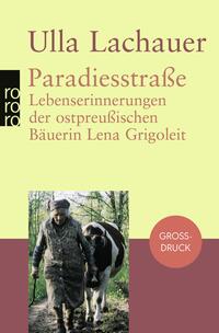 Vorderes Coverbild Paradiesstraße