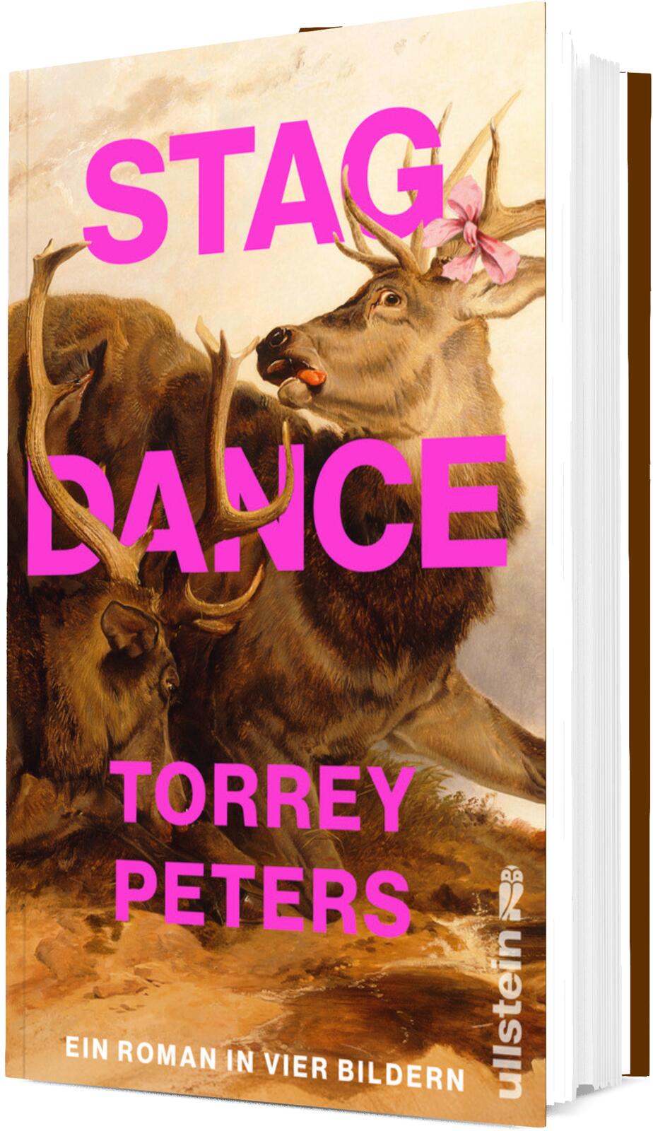 Anderes Coverbild Stag Dance