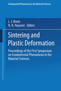 Vorderes Coverbild Sintering and Plastic Deformation