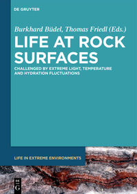 Vorderes Coverbild Life at Rock Surfaces