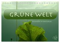 Vorderes Coverbild Baggersee - die grüne Welt (Tischkalender 2025 DIN A5 quer), CALVENDO Monatskalender