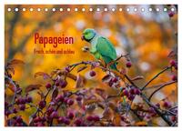 Vorderes Coverbild Papageien - Frech, schön und schlau (Tischkalender 2025 DIN A5 quer), CALVENDO Monatskalender