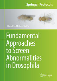 Vorderes Coverbild Fundamental Approaches to Screen Abnormalities in Drosophila