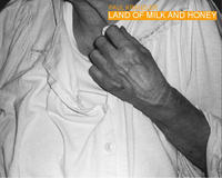Vorderes Coverbild Land of Milk and Honey