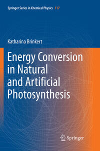 Vorderes Coverbild Energy Conversion in Natural and Artificial Photosynthesis