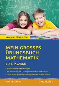 Vorderes Coverbild Mein großes Übungsbuch Mathematik. 5./6. Klasse.