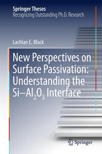 Vorderes Coverbild New Perspectives on Surface Passivation: Understanding the Si-Al2O3 Interface