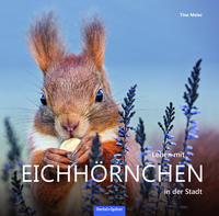 Vorderes Coverbild Leben mit Eichhörnchen in der Stadt