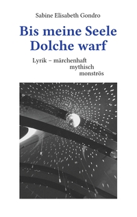 Vorderes Coverbild Bis meine Seele Dolche warf