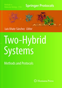 Vorderes Coverbild Two-Hybrid Systems