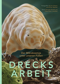 Vorderes Coverbild DRECKSARBEIT