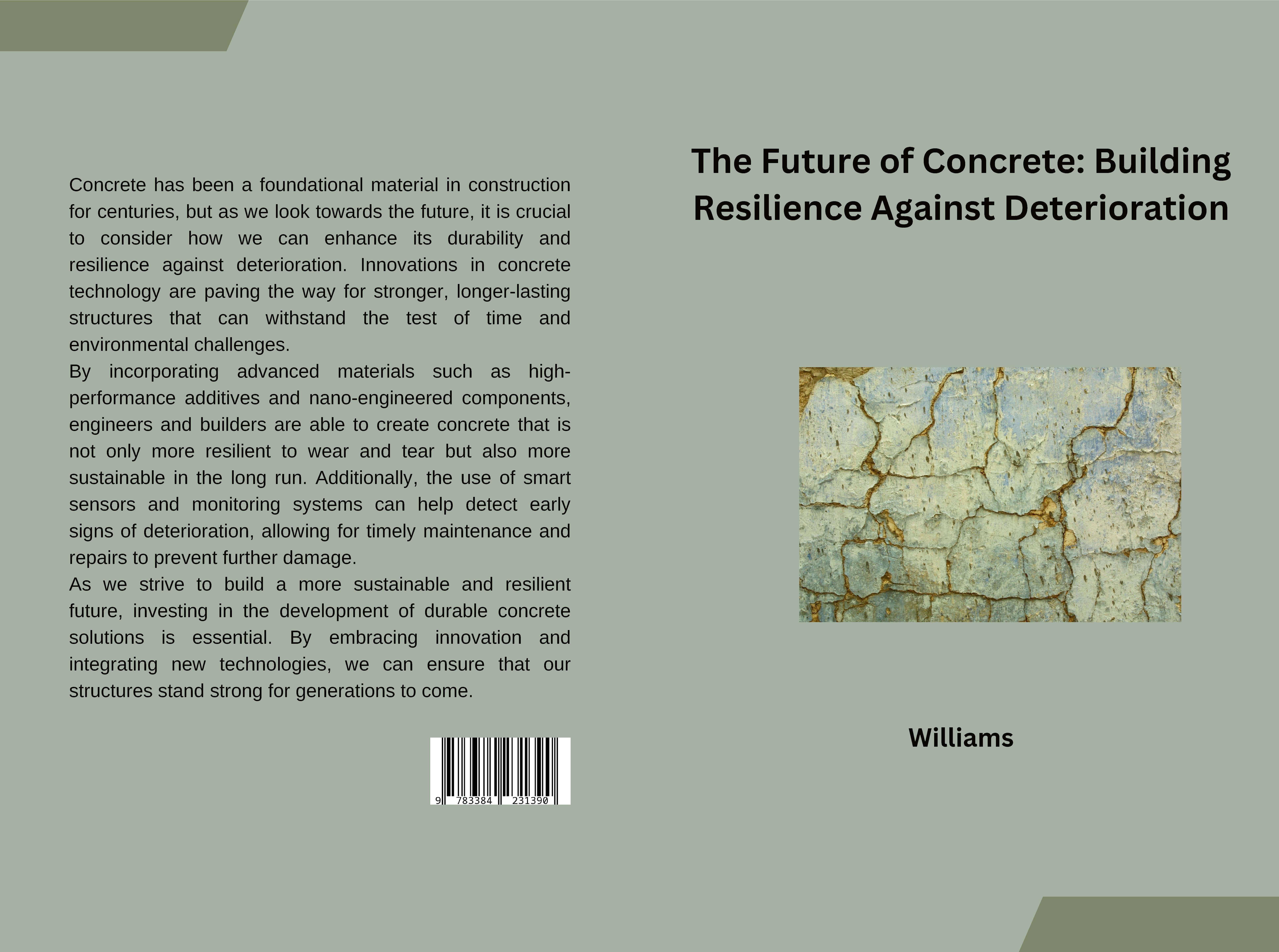 Gesamtes Coverbild The Future of Concrete: Building Resilience Against Deterioration