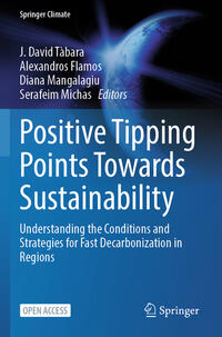Vorderes Coverbild Positive Tipping Points Towards Sustainability
