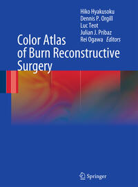 Vorderes Coverbild Color Atlas of Burn Reconstructive Surgery