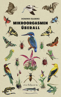 Vorderes Coverbild Mikroorgasmen überall