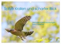 Vorderes Coverbild Spitze Krallen und scharfer Blick - Verhalten Sperber (Wandkalender 2025 DIN A3 quer), CALVENDO Monatskalender