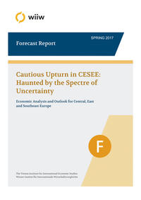 Vorderes Coverbild wiiw Forecast Report / Spring 2017