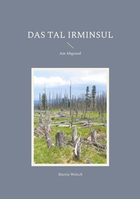 Vorderes Coverbild Das Tal Irminsul