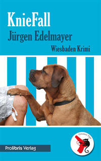 Vorderes Coverbild KnieFall