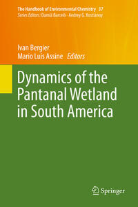 Vorderes Coverbild Dynamics of the Pantanal Wetland in South America