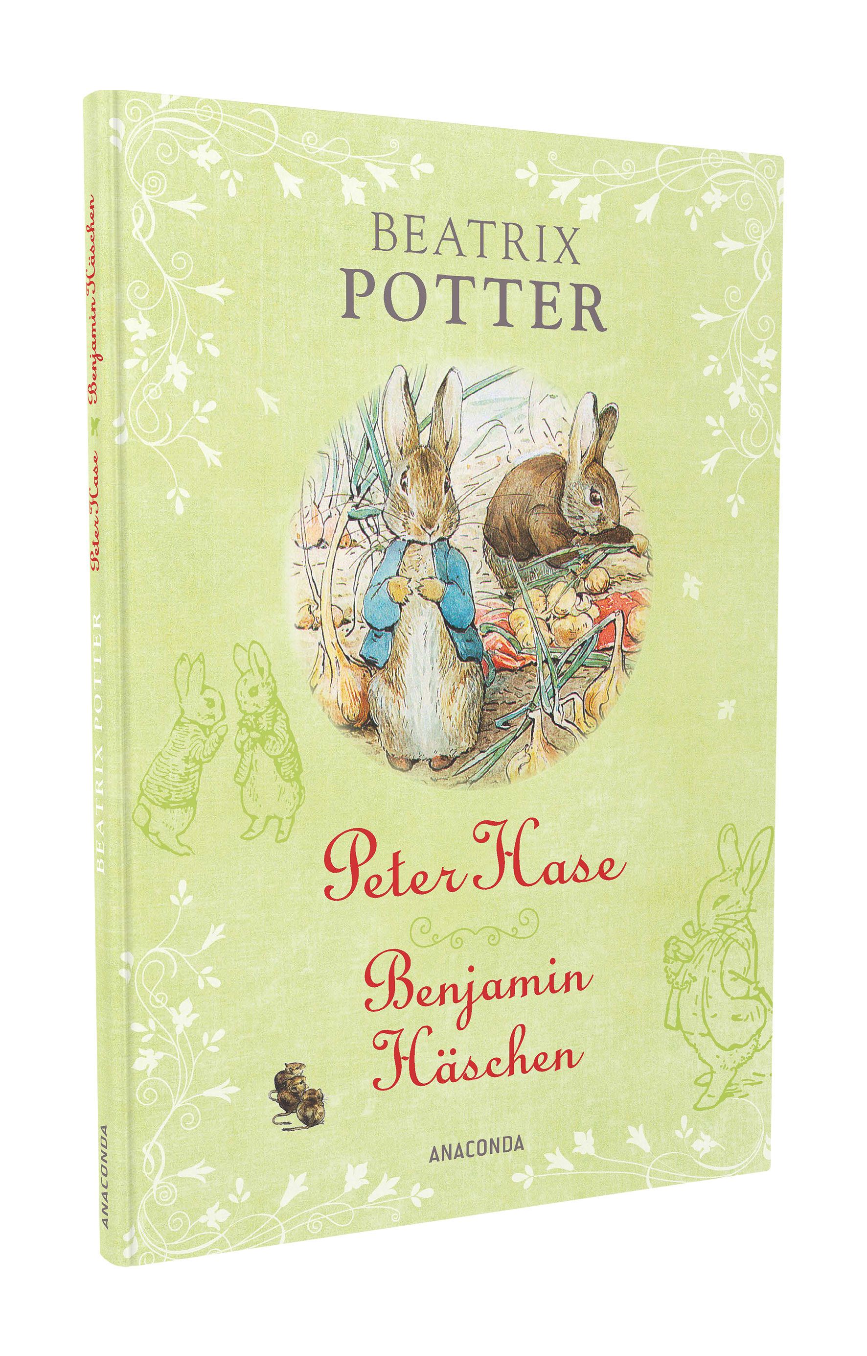 Beispielinhalt (Bild) Peter Hase und Benjamin Häschen