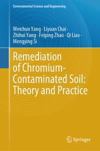 Vorderes Coverbild Remediation of Chromium-Contaminated Soil: Theory and Practice