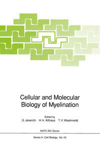 Vorderes Coverbild Cellular and Molecular Biology of Myelination