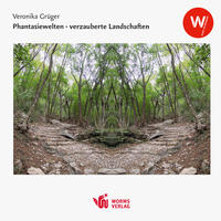 Vorderes Coverbild Phantasiewelten – verzauberte Landschaften