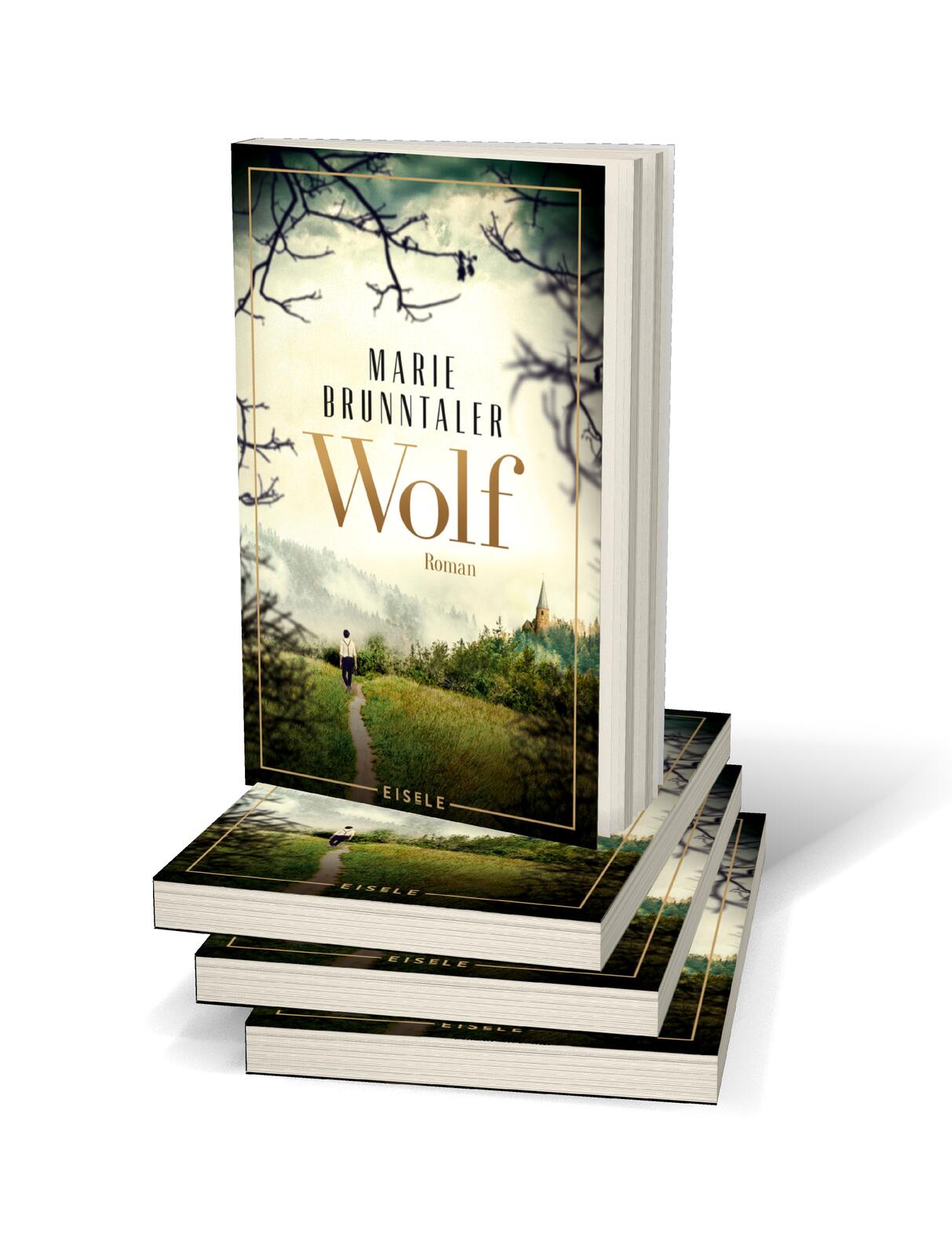 Beispielinhalt (Bild) Wolf